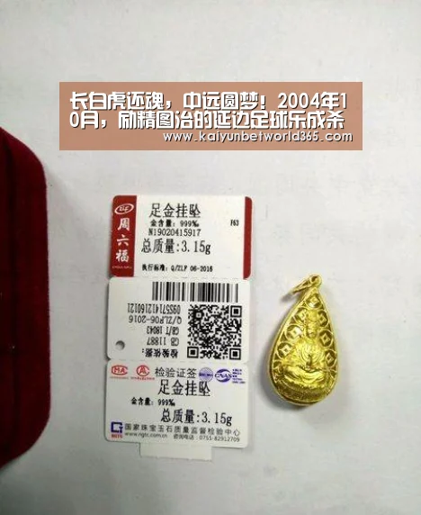 长白虎还魂,中远圆梦!2004年10月,励精图治的延边足球乐成杀入中甲!请看延边职业足球风云录(连载15)【开运体育】(图1) 开运体育