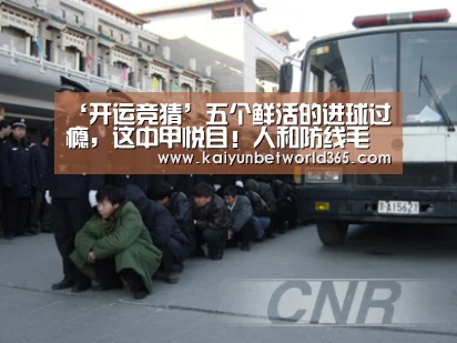 开运登录