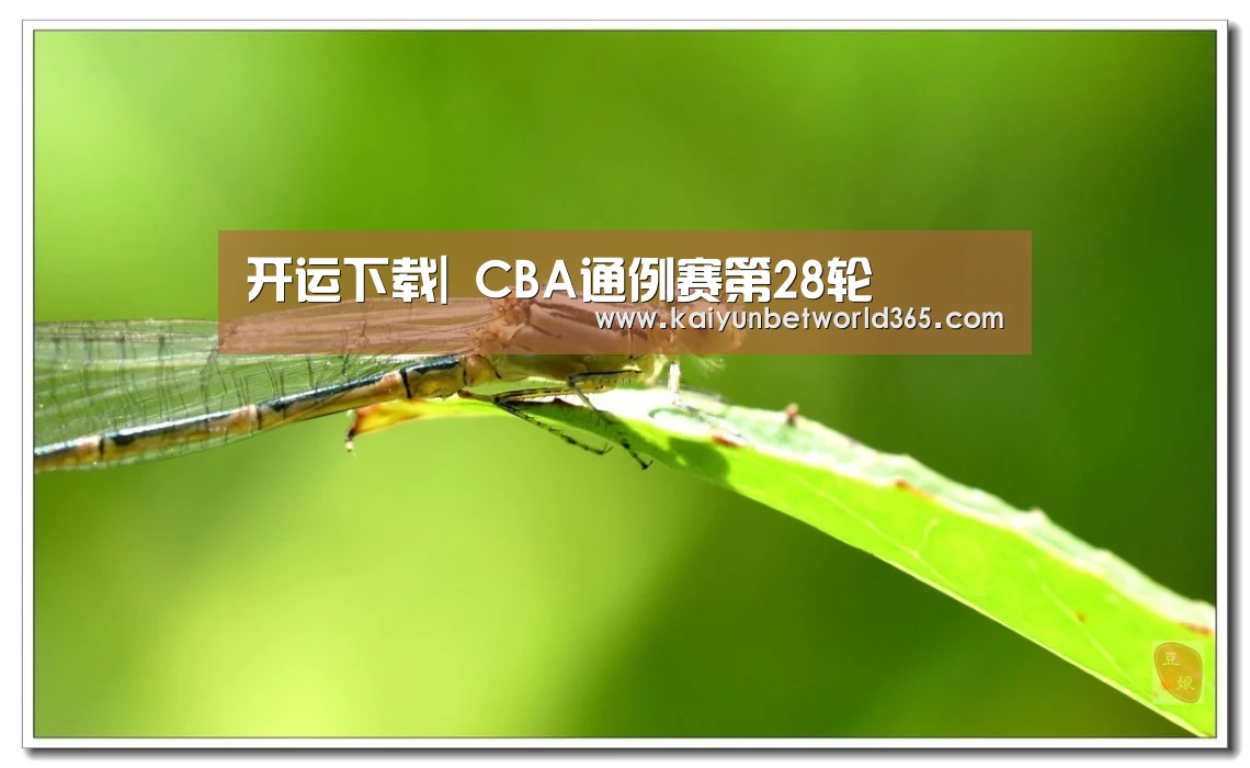 开运下载|
CBA通例赛第28轮(图2) 开运体育